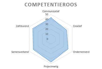 Compententieroos from freshman-year